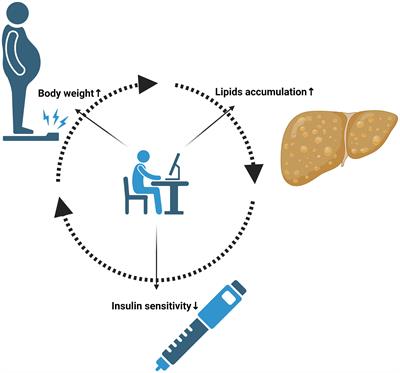Editorial: Exercise, diabetes and metabolic-associated fatty liver disease